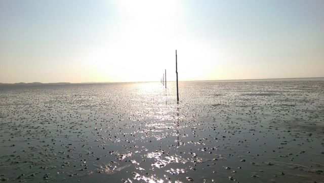 photography art shoot